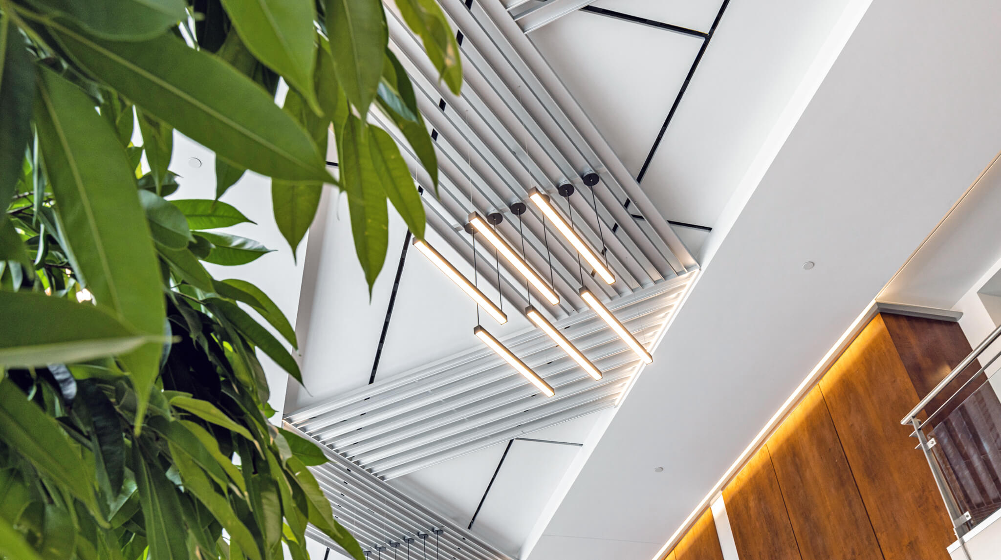 Monit building, lobby ceiling lights